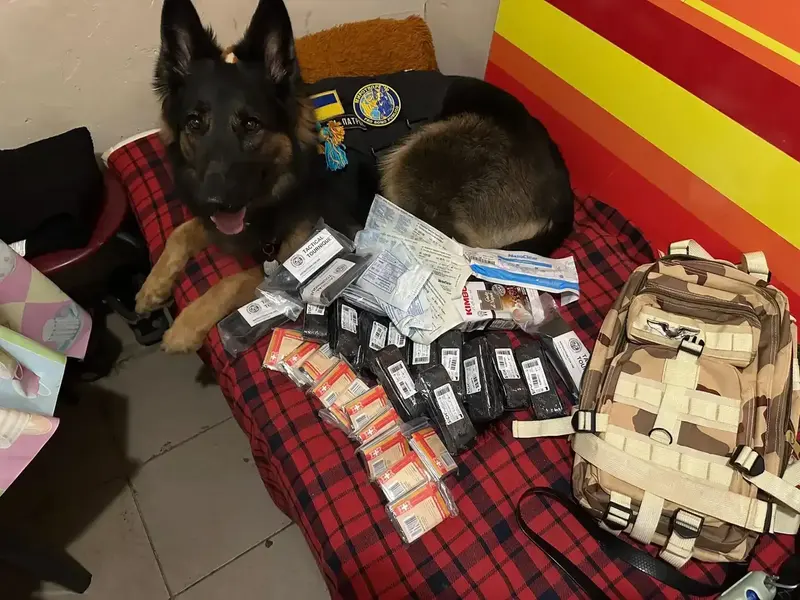 Dana the German Shepherd beside donated medical supplies